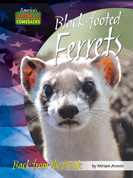 Title details for Black-footed Ferrets by Miriam Aronin - Available